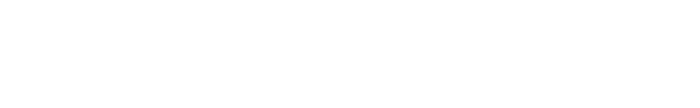 Onyx Limo Logo